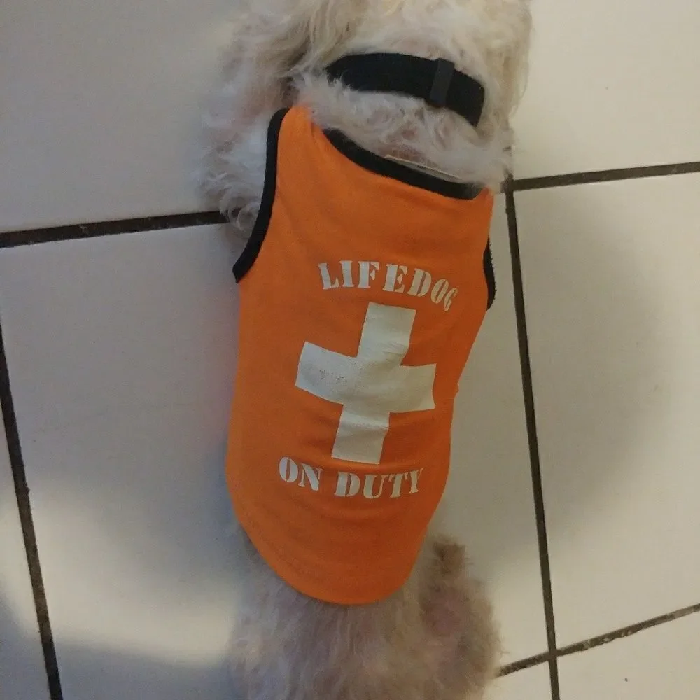 Smedium Doggie top